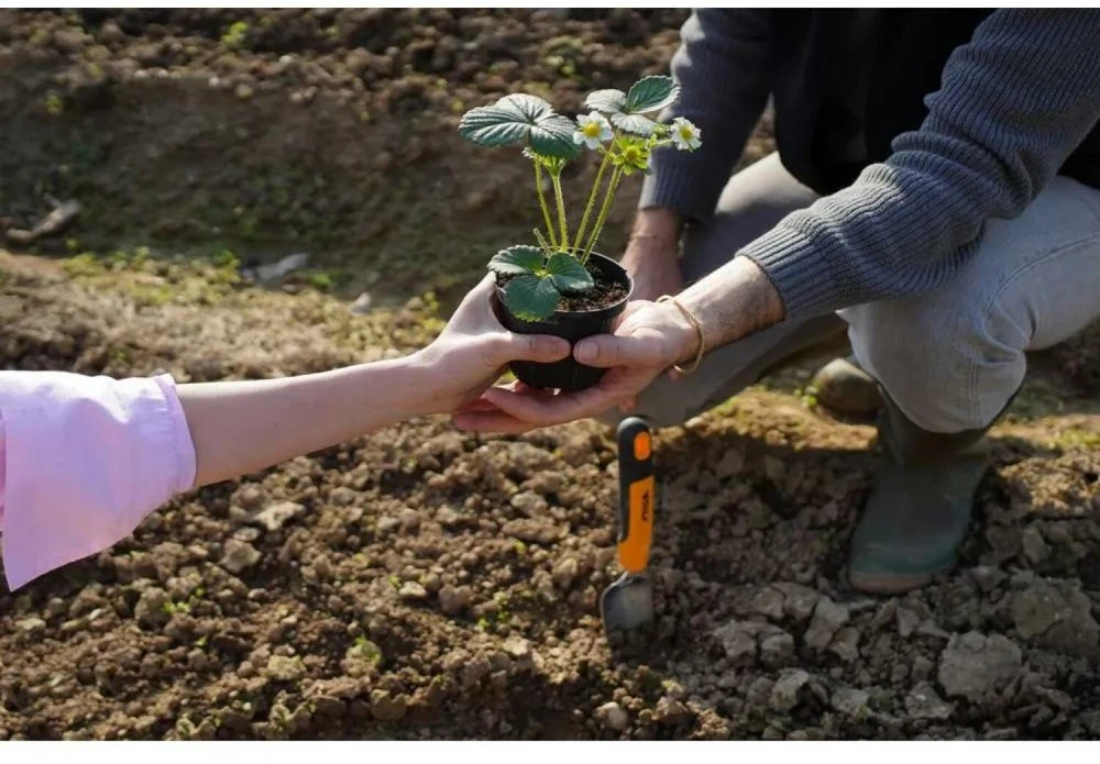 STIGA Pflanzschaufel Manuelles Gartenwerkzeug