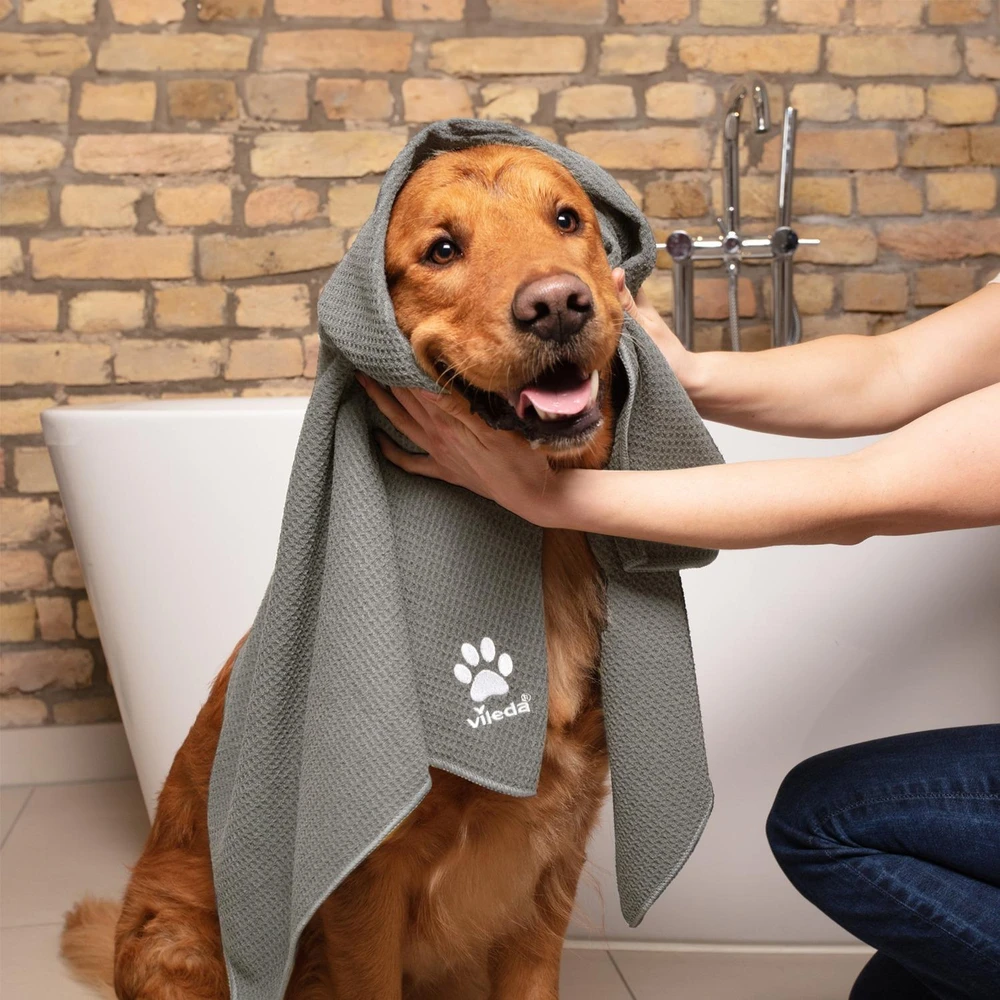 Vileda „Pet Pro ALWAYS CLEAN“ šluotų dėžė, 3 dalių rinkinys (raudona, ALWAYS CLEAN šluota + „Pet Pro“ elektrostatinis šepetys + „Pet Pro“ mikropluošto rankšluostis XL)