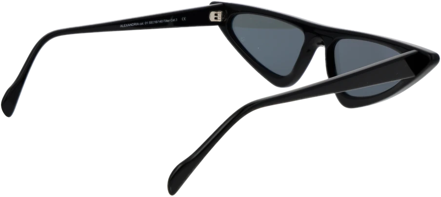 Akiniai nuo saulės ANDY WOLF SUNGLASSES Alexandria 5501 (moterims)