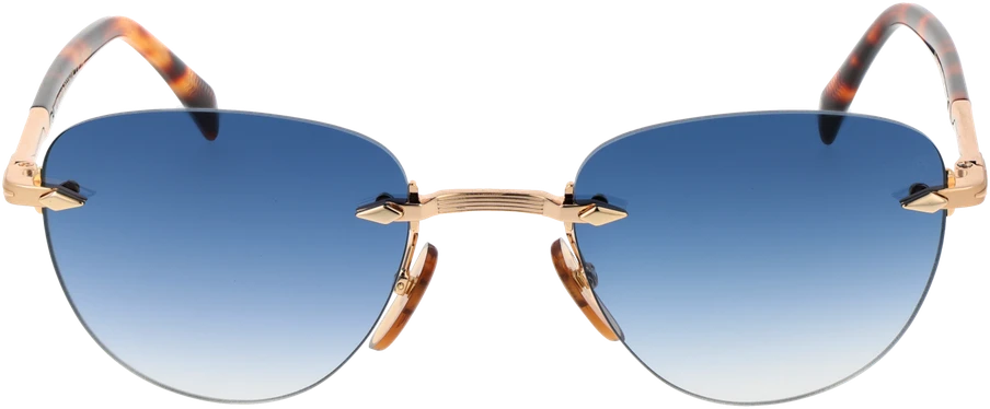 Akiniai nuo saulės DAVID BECKHAM SUNGLASSES DB 1224_S 510NR08 (vyrams)