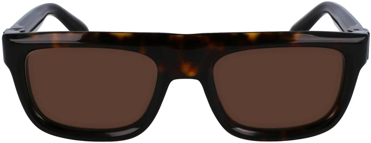 Akiniai nuo saulės FERRAGAMO SF2009S-242 (vyrams), dydis 56/21/145