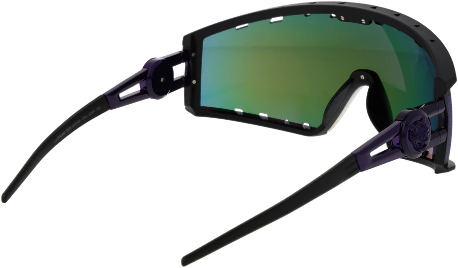 Akiniai nuo saulės PHILIPP PLEIN SUNGLASSES SSP005 99U28R (vyrams)