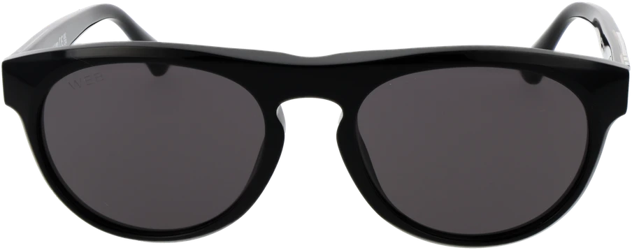 Akiniai nuo saulės WEB EYEWEAR WE0349 5501A (vyrams)