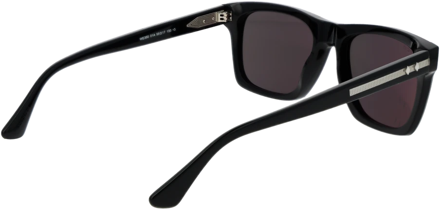 Akiniai nuo saulės WEB EYEWEAR WE0350 5501A (vyrams)