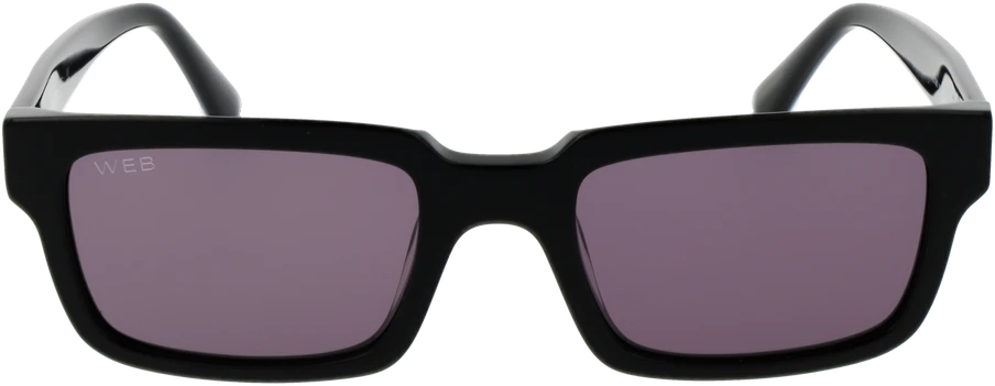 Akiniai nuo saulės WEB EYEWEAR WE0360 5301A (vyrams)