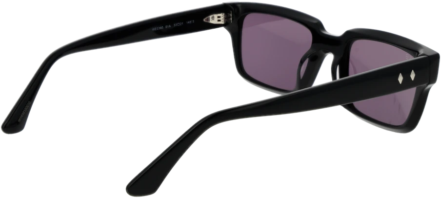Akiniai nuo saulės WEB EYEWEAR WE0360 5301A (vyrams)
