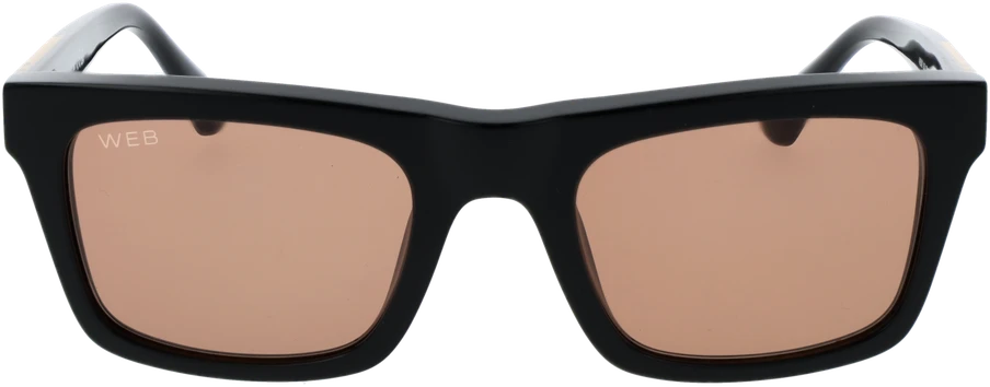 Akiniai nuo saulės WEB EYEWEAR WE0362 5205J (vyrams)