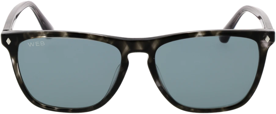 Akiniai nuo saulės WEB EYEWEAR WE0363 5520V (vyrams)