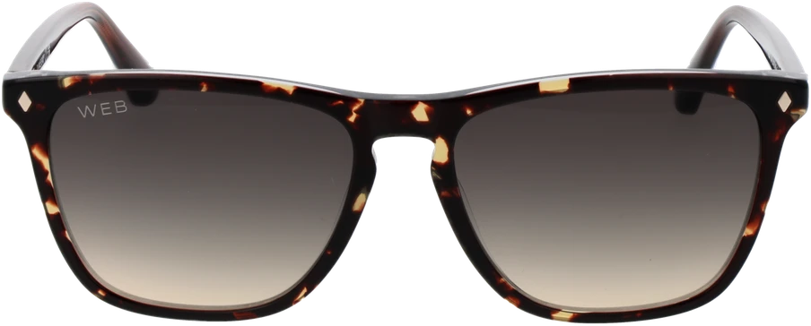 Akiniai nuo saulės WEB EYEWEAR WE0363 5556B (vyrams)
