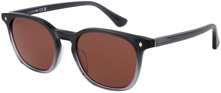 Akiniai nuo saulės WEB EYEWEAR WE0364 5220S (vyrams)