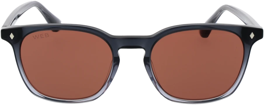 Akiniai nuo saulės WEB EYEWEAR WE0364 5220S (vyrams)