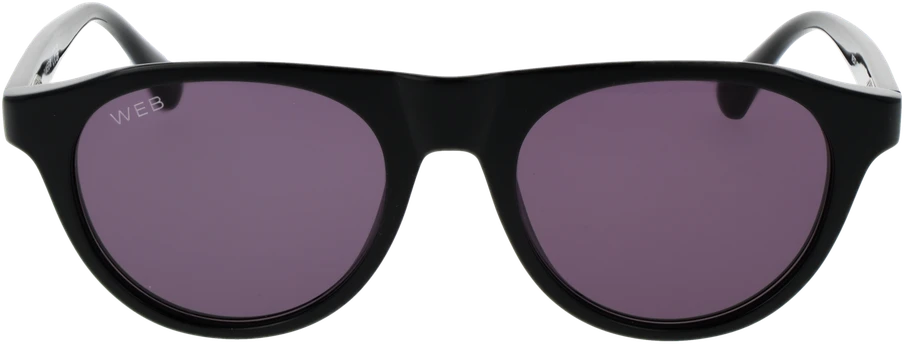 Akiniai nuo saulės WEB EYEWEAR WE0377 5105A (vyrams)