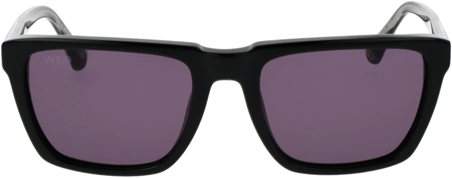 Akiniai nuo saulės WEB EYEWEAR WE0379 5505A (vyrams)