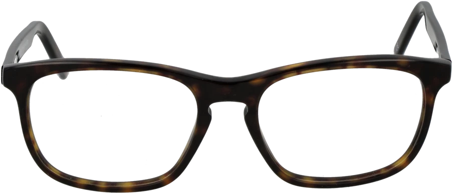Akinių rėmeliai ANDY WOLF EYEWEAR 4503 54B (vyrams)