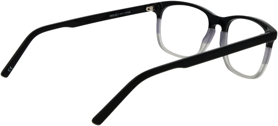 Akinių rėmeliai ANDY WOLF EYEWEAR 4503 54C (vyrams)