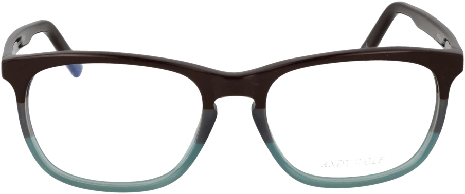 Akinių rėmeliai ANDY WOLF EYEWEAR 4503 54D (vyrams)