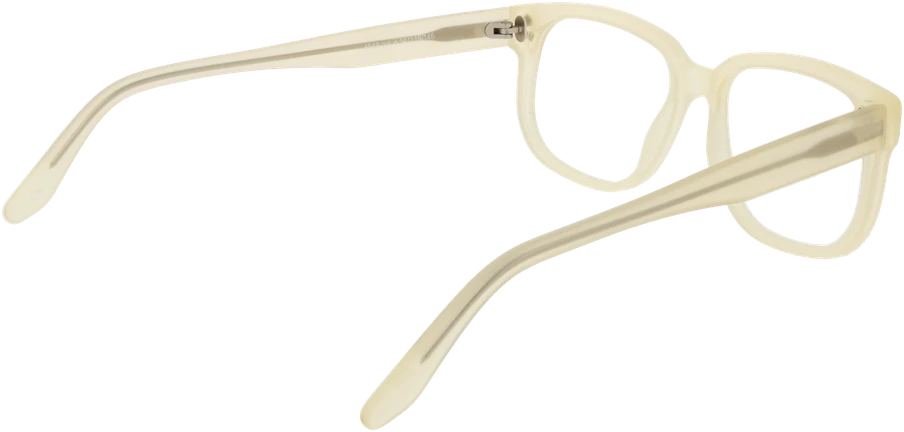 Akinių rėmeliai ANDY WOLF EYEWEAR 4546 54E (vyrams)
