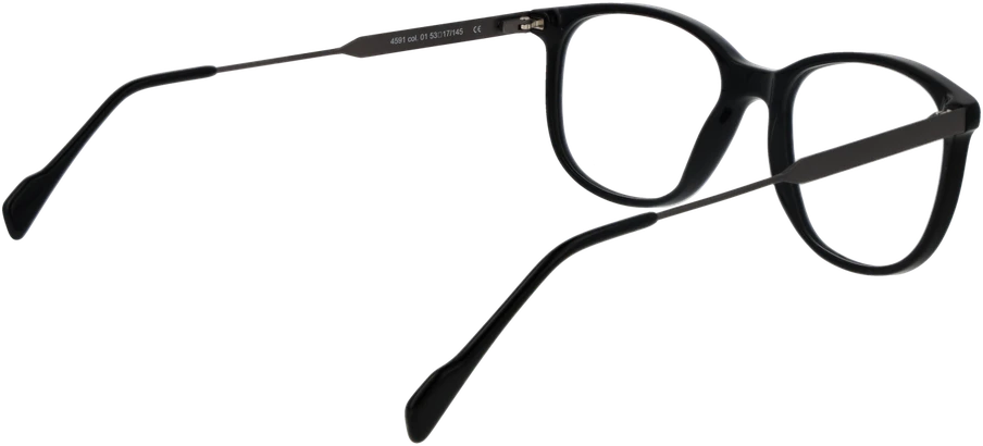 Akinių rėmeliai ANDY WOLF EYEWEAR 4591 5301 (vyrams ir moterims)