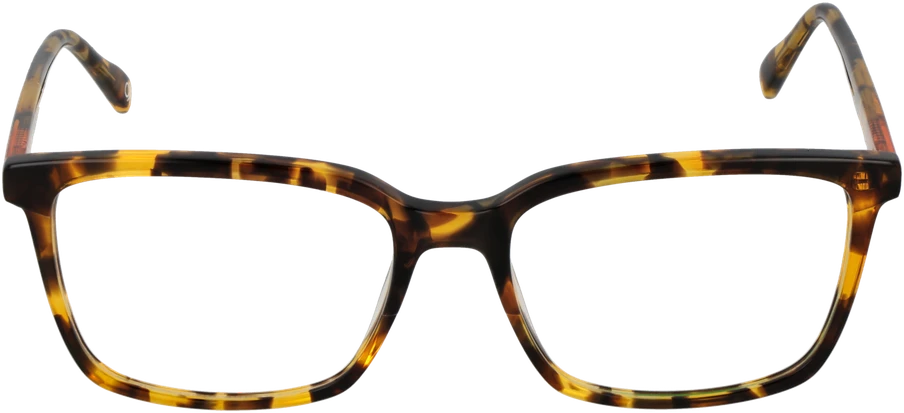 Akinių rėmeliai BENETTON EYEWEAR BEO109 55103 (vyrams)