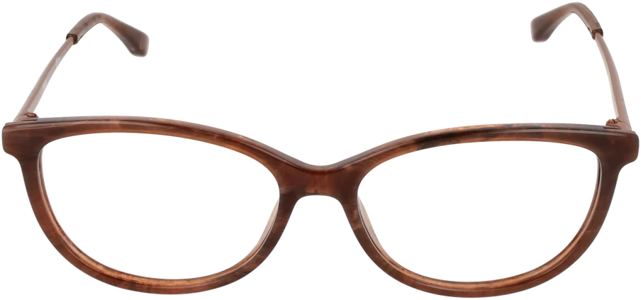 Hugo Boss Akinių rėmeliai BOSS FRAME BOSS 1110 54XT8 (moterims)