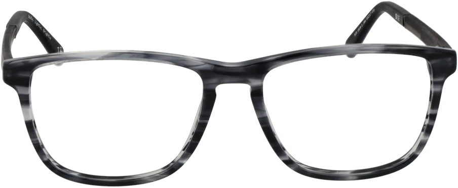Akinių rėmeliai BOTANIQ EYEWEAR BIO-1010 55104 (vyrams)