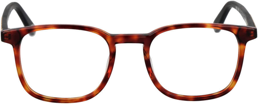 Akinių rėmeliai BOTANIQ EYEWEAR BIO-1012 49196 (vyrams)