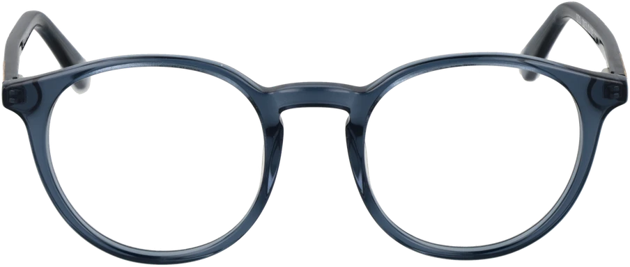 Akinių rėmeliai BOTANIQ EYEWEAR BIO-1013 47105 (vyrams)