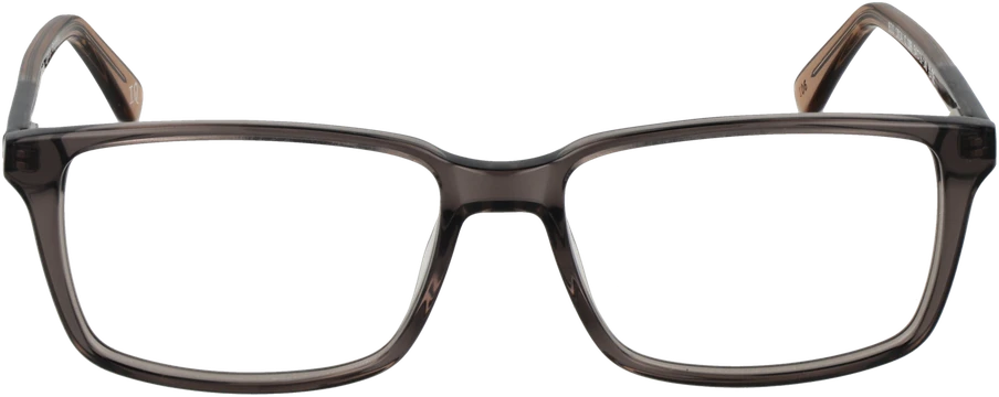 Akinių rėmeliai BOTANIQ EYEWEAR BIO-1014 54108 (vyrams)