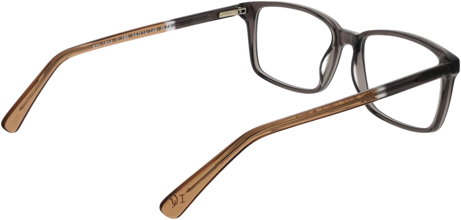 Akinių rėmeliai BOTANIQ EYEWEAR BIO-1014 54108 (vyrams)