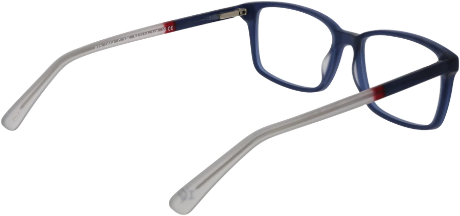 Akinių rėmeliai BOTANIQ EYEWEAR BIO-1014 54105 (vyrams)
