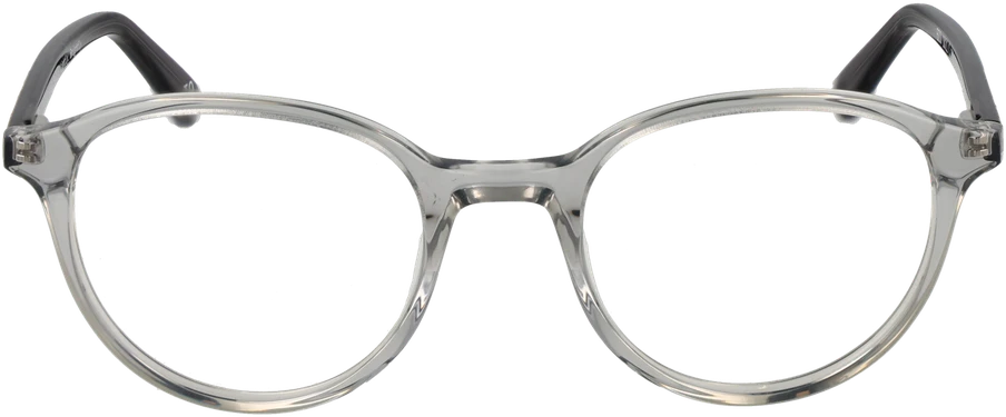 Akinių rėmeliai BOTANIQ EYEWEAR BIO-1021 49108 (vyrams)