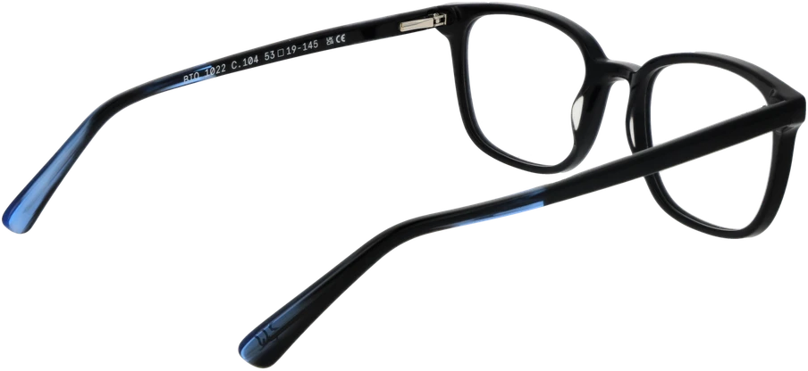 Akinių rėmeliai BOTANIQ EYEWEAR BIO-1022 53104 (vyrams)