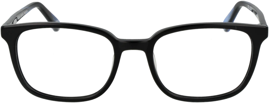 Akinių rėmeliai BOTANIQ EYEWEAR BIO-1022 53104 (vyrams)