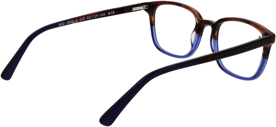 Akinių rėmeliai BOTANIQ EYEWEAR BIO-1022 53123 (vyrams)