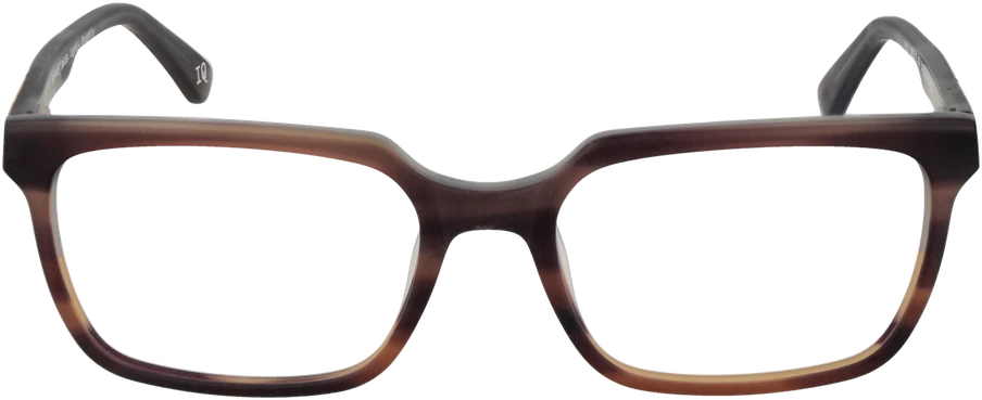 Akinių rėmeliai BOTANIQ EYEWEAR BIO-1025 55107 (vyrams)