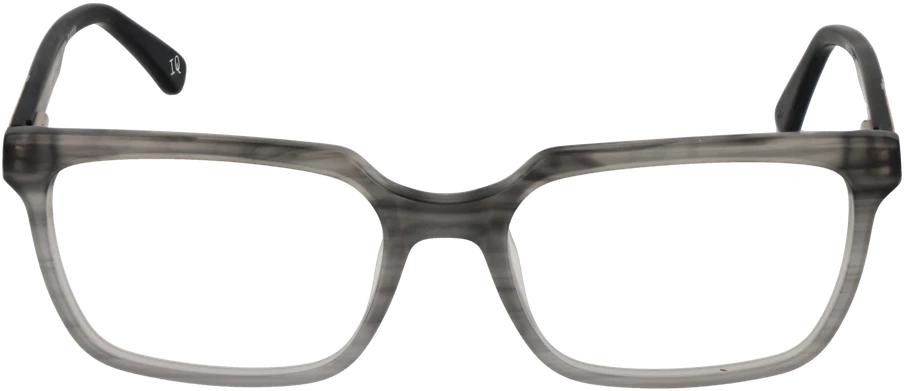 Akinių rėmeliai BOTANIQ EYEWEAR BIO-1025 55108 (vyrams)