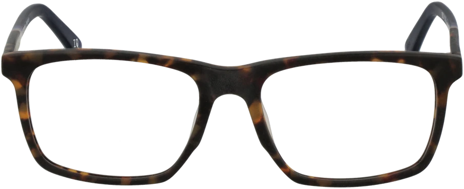 Akinių rėmeliai BOTANIQ EYEWEAR BIO-1026 56101 (vyrams)