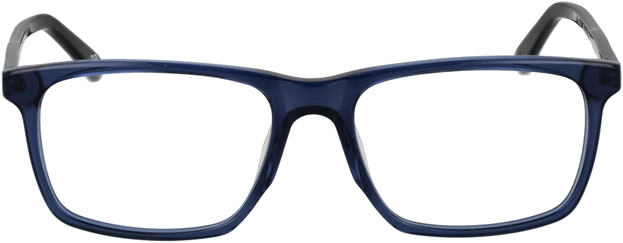 Akinių rėmeliai BOTANIQ EYEWEAR BIO-1026 56105 (vyrams)