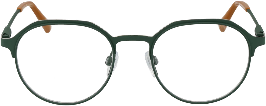 Akinių rėmeliai BULGET EYEWEAR BG1842M 5012A (vyrams)