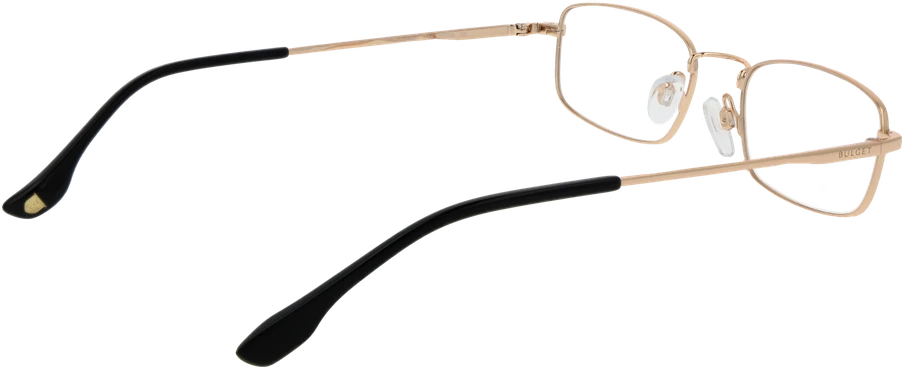 Akinių rėmeliai BULGET EYEWEAR BG1940MT 5304A (vyrams)