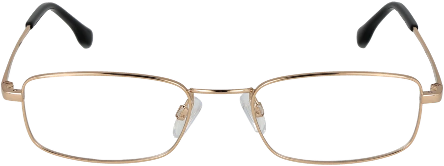 Akinių rėmeliai BULGET EYEWEAR BG1940MT 5304A (vyrams)