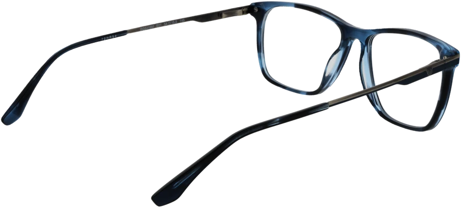 Akinių rėmeliai BULGET EYEWEAR BG6419M 54E01 (vyrams)