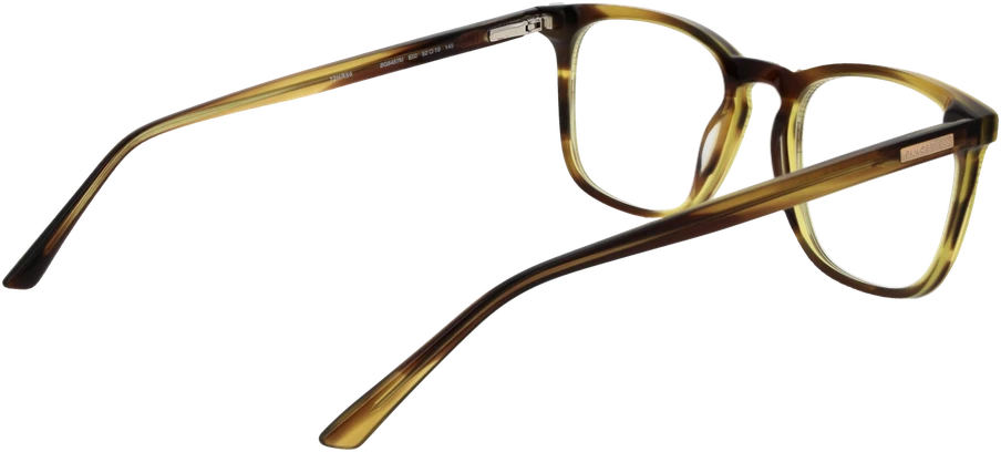 Akinių rėmeliai BULGET EYEWEAR BG6457M 52E02 (vyrams)