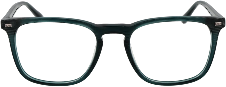Akinių rėmeliai BULGET EYEWEAR BG6457M 52T01 (vyrams)