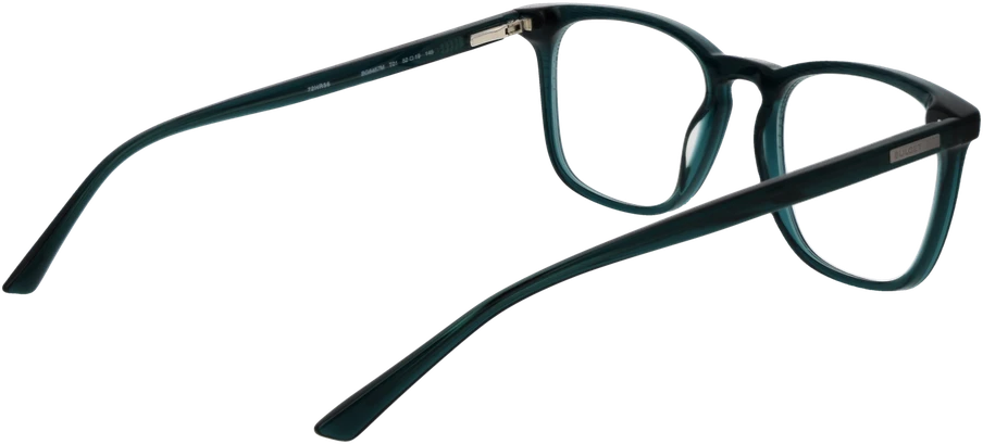Akinių rėmeliai BULGET EYEWEAR BG6457M 52T01 (vyrams)