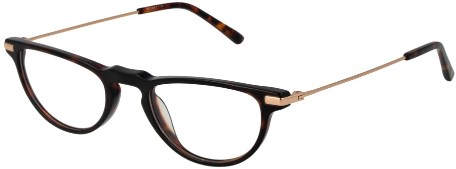 Akinių rėmeliai BULGET EYEWEAR BG6470M 48G21 (vyrams)