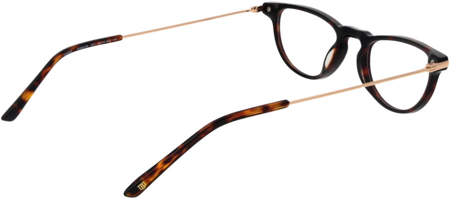 Akinių rėmeliai BULGET EYEWEAR BG6470M 48G21 (vyrams)