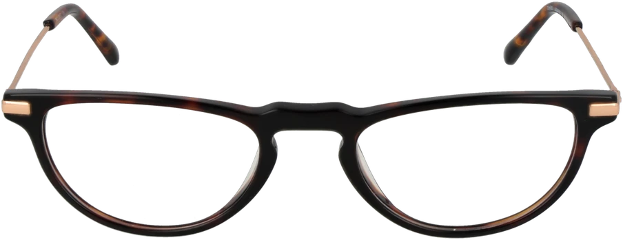 Akinių rėmeliai BULGET EYEWEAR BG6470M 48G21 (vyrams)