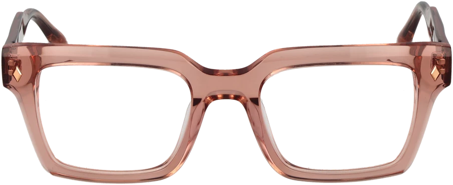 Akinių rėmeliai BULGET EYEWEAR BG6509M 50T01 (vyrams)