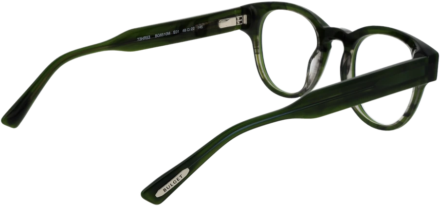 Akinių rėmeliai BULGET EYEWEAR BG6510M 48E01 (vyrams)